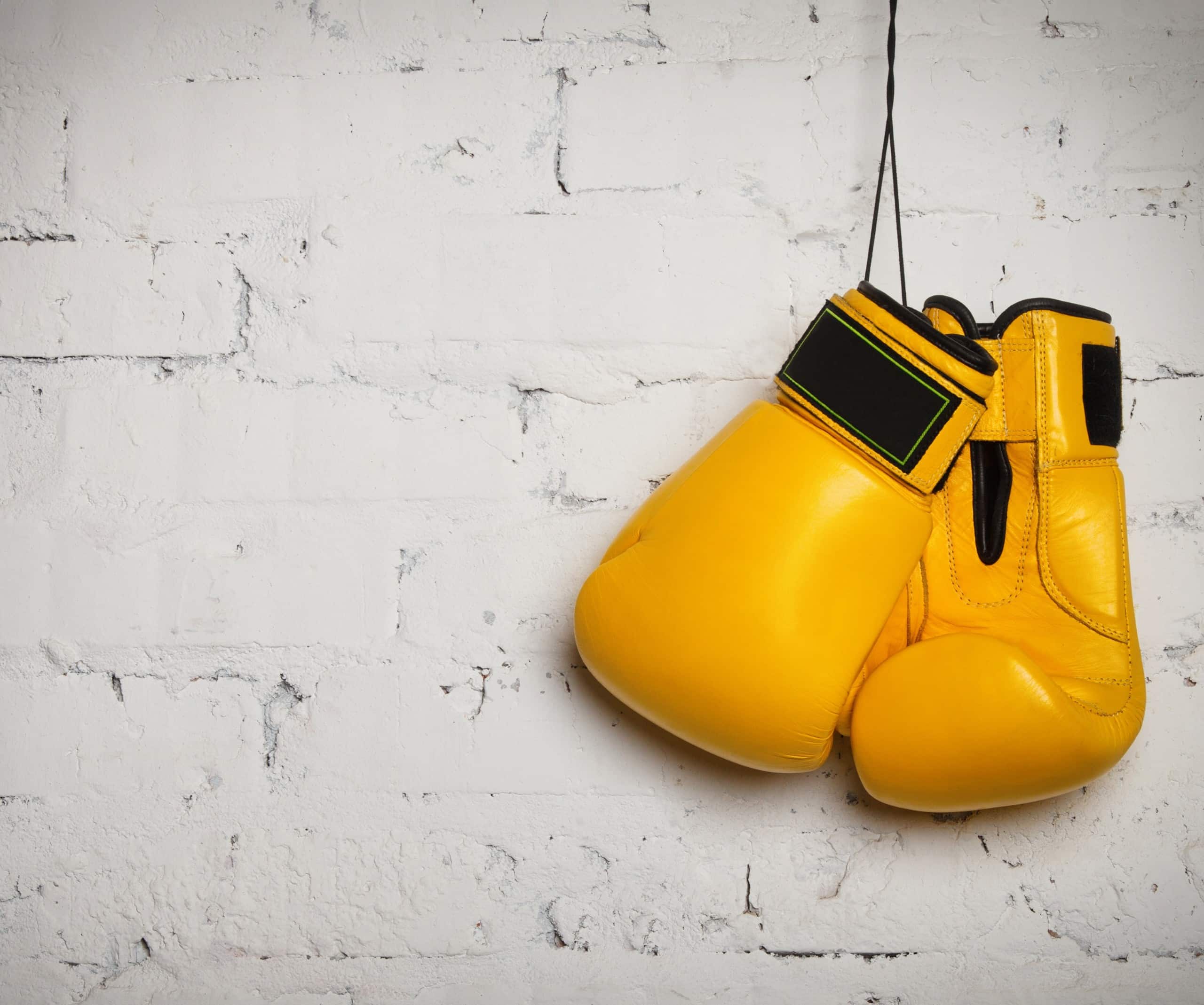 Fits like a Glove: Top 10 Must-Do’s for your SAM Program