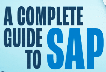 Mastering SAP License Governance: A Definitive Handbook for Enterprise Success