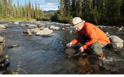 Panning for Gold: Software Renewals Matter