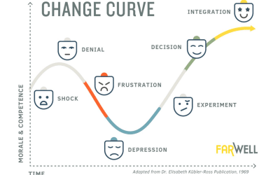From Shock to Integration: A Journey Through the 7 Emotional Landscapes