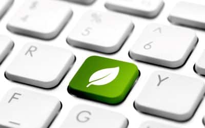 ITAM and Green IT
