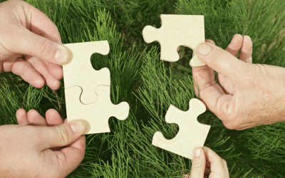 IT Asset Management and Vendor Management: Better Together